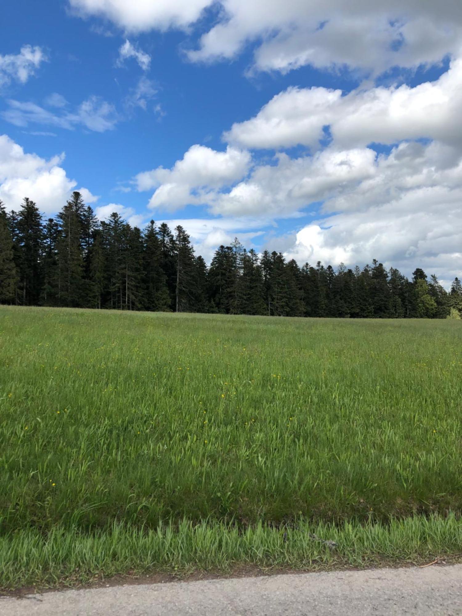 Solhof-Schoemberg Loßburg Eksteriør bilde