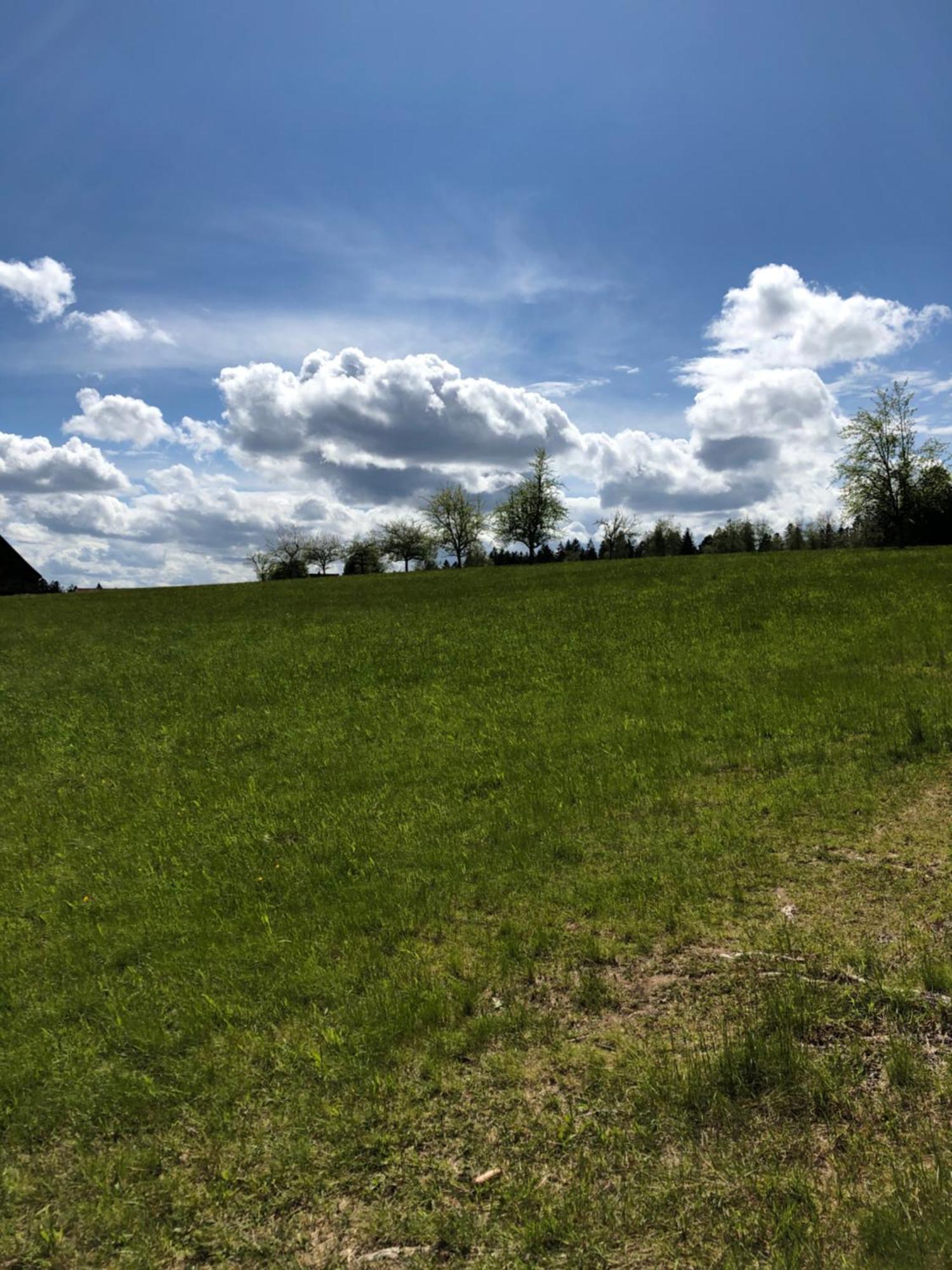 Solhof-Schoemberg Loßburg Eksteriør bilde